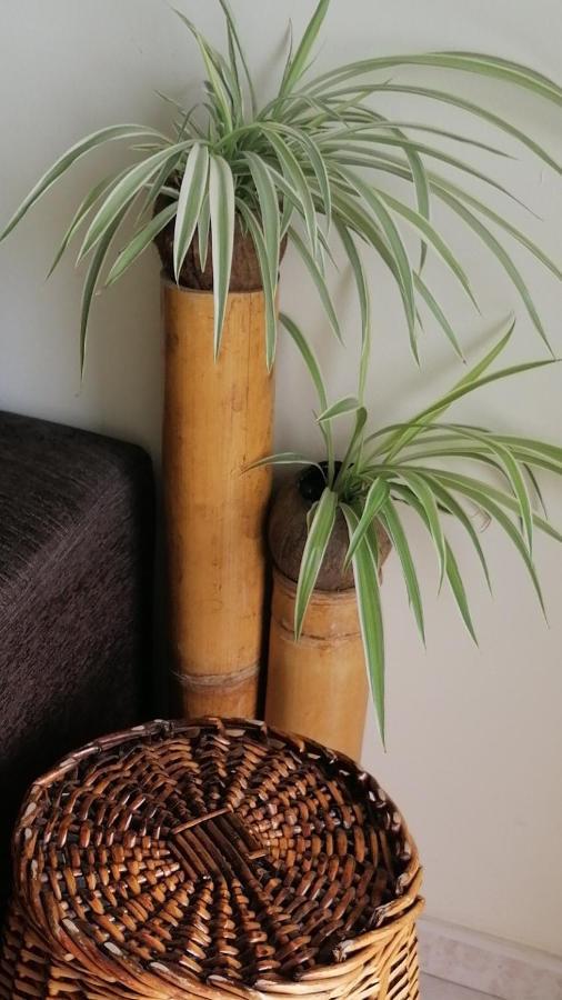 Apartament Al Golpito Las Palmas de Gran Canaria Zewnętrze zdjęcie