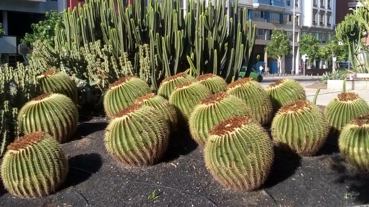 Apartament Al Golpito Las Palmas de Gran Canaria Zewnętrze zdjęcie